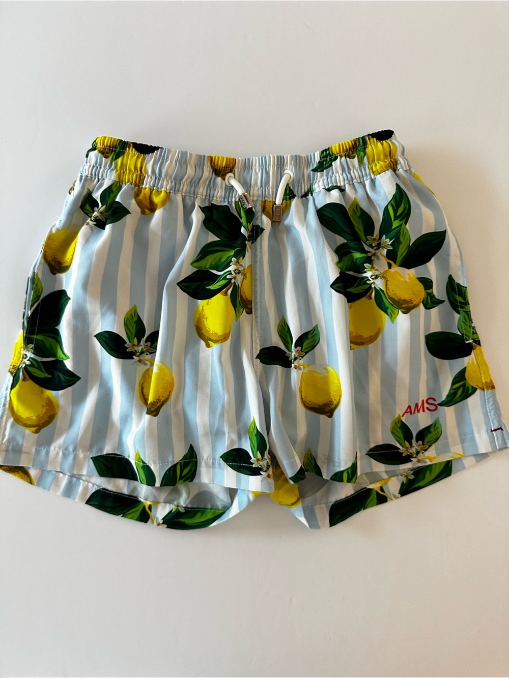 AMS Amsterdam Men’s Swim Trunks Blue White Stripes Tropical Fruit Size Medium